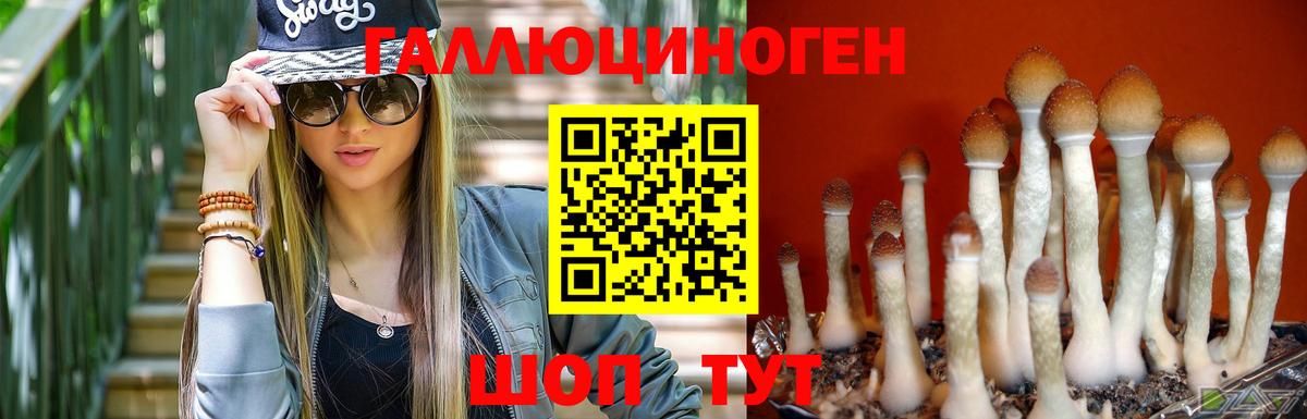 Галлюциногенные грибы прущие грибы Серпухов